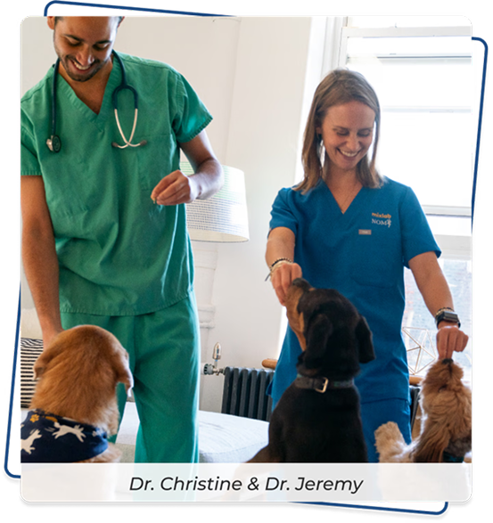 Founded by Veterinarians